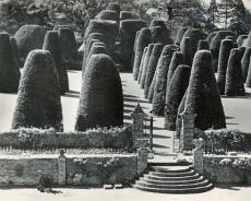 LHG02_0014 Packwood House