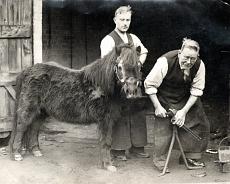 Frank Cranmer Blacksmith Frank Cranmer, blacksmith, with Marie Corelli's pony