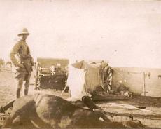 AG Hanson - Palestine 1917 - Battle casualties (2) Captured gun a few hours after the charge by the Warwickshire Yeomanry at Huj, November 1917