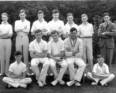 Cricket Cricket team
