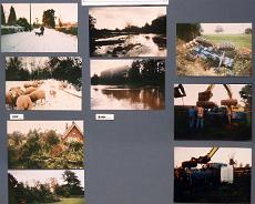 P1101B-Medium