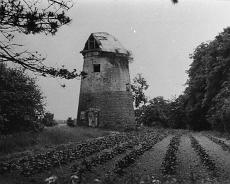Matthews2 Rowington Mill