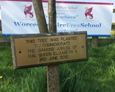 IMG_2696 Tree planted at cricket ground for diamond jubilee in 2012