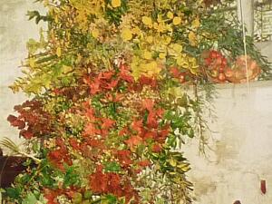 Festival of Flowers 1993