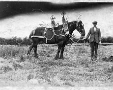 Wallis High C Wallis Family - High Cross