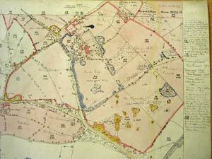 Claverdon Leys