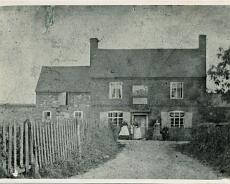 Shrewley05_0002 Durham Ox