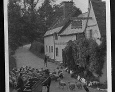 S0207 Fleur de Lys Lowsonford