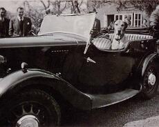LHG03_0034 Morris Eight with dog, outside The Boot