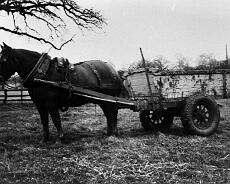 S0806 Muck carting at High Chimneys in 1940s