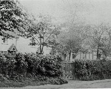 JoyW_0007 Kinngswood Cottages