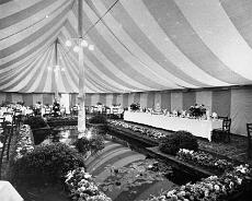 S2527 Golden Wedding of Harry and Alice Orcutt 1934