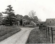 img20220104_0131 Shepherd's Fold