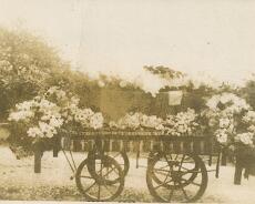 Beardsmore09 Funeral Bier from Hatton