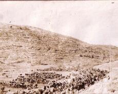 Hanson AG - Palestine Campaign 1917 - 2 (2) Part of the Judea Hills and a rest camp behind the lines from Anthony Hanson's album from when he served in Palestine in 1917-18