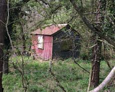 E618B33E-4401-4DBF-A102-EB98E5B76C62 The 