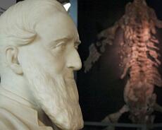 one-of-warwickshire-s-leading-19th-century-geologists-the-rev-peter-bellinger-brodie-image-1-916438219 Bust of Rev PB Brodie